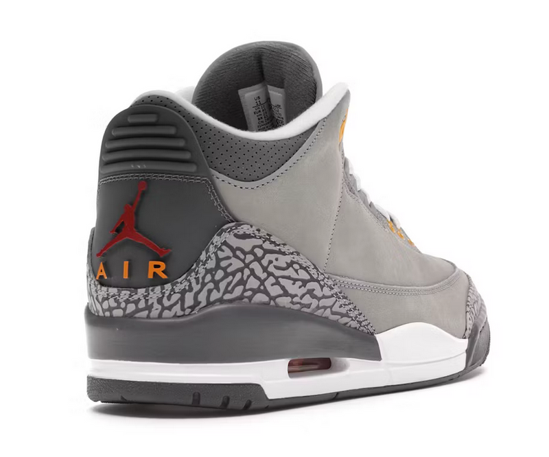 Jordan 3 Retro Cool Grey (2021)