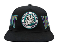 Saint Vanity Vain Life Ducks Snapback