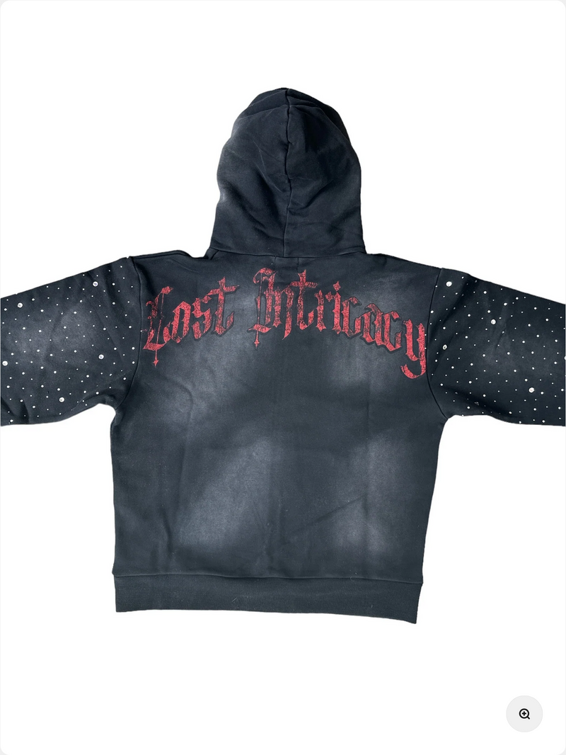 Lost Intricacy Wings hoodie